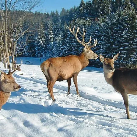 Three-bedroom Holiday In Semesterbostad